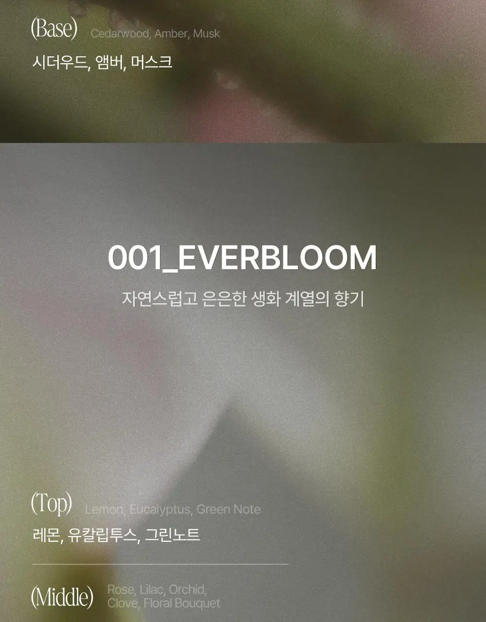 [열보호] 탐즈 시그니처 샴푸 500ml 2종 택 1 (MAY/EVER BLOOM) 상세페이지 6